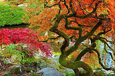 CRPG《今古群侠传》Steam页面上线 明年发售